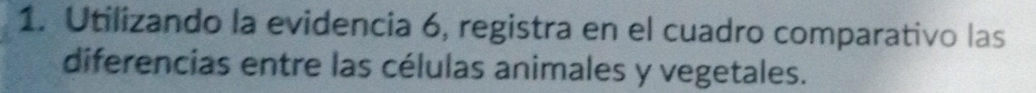 Utilizando la evidencia 6, registra en el cuadro comparativo las 
diferencias entre las células animales y vegetales.