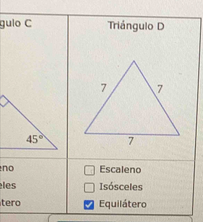 gulo C Triángulo D
no Escaleno
les Isósceles
tero Equilátero