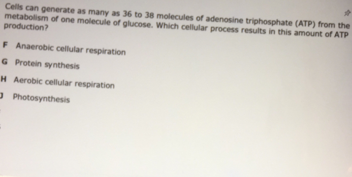 Cells can generate as many as 36 to 38 molecules of adenosine triphosphate (ATP) from the
metabolism of one molecule of glucose. Which cellular process results in this amount of ATP
production?
F Anaerobic cellular respiration
G Protein synthesis
H Aerobic cellular respiration
J Photosynthesis