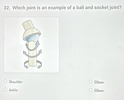 Which joint is an example of a ball and socket joint?
Shoulder Elbow
Ankle Elbow