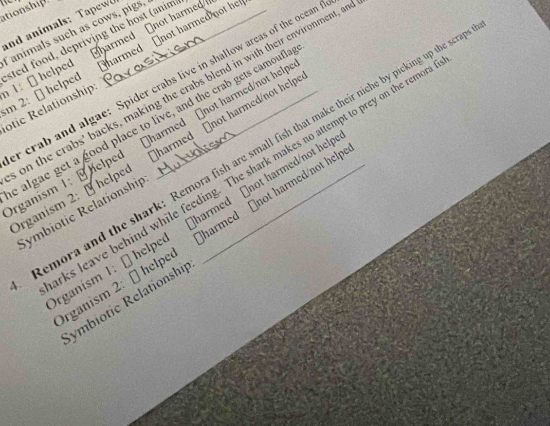 tionship 
and animals : pew 
Tanimals such as cows, pigs, 
sted food, depriving the host (anim 
1: " helped Mharmed ⊥not harmed 
m 2: [ helped harmed ￥not harmed not he 
r crab and algae: Spider crabs live in shallow areas of the ocean 
on the crabs' backs, making the crabs blend in with their environment, a 
otic Relationship:_ 
e algae get a good place to live, and the crab gets camoufla 
ganism 1; helped harmed Onot harmed/not hel 
Remora and the shark: Remora fish are small fish that make their niche by picking up the ser 
Organism 2:[ helped ]harmed ￥not harmed/not helpe 
ks leave behind while feeding. The shark makes no attempt to prey on the remo 
Symbiotic Relationship 
ganism 1: [ helped (harmed (not harmed/not he 
ganism 2: [] helped ₹harmed [not harmed/not he 
Rymbiotic Relationship