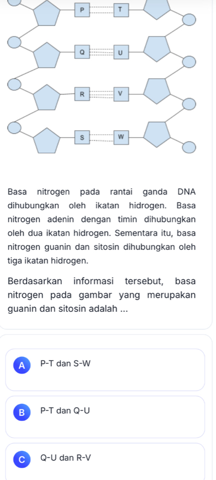 P T
Basa nitrogen pada rantai ganda DNA
dihubungkan oleh ikatan hidrogen. Basa
nitrogen adenin dengan timin dihubungkan
oleh dua ikatan hidrogen. Sementara itu, basa
nitrogen guanin dan sitosin dihubungkan oleh
tiga ikatan hidrogen.
Berdasarkan informasi tersebut, basa
nitrogen pada gambar yang merupakan
guanin dan sitosin adalah ...
P-T dan S- W
B P-T dan Q -| J
C Q-U dan R-1