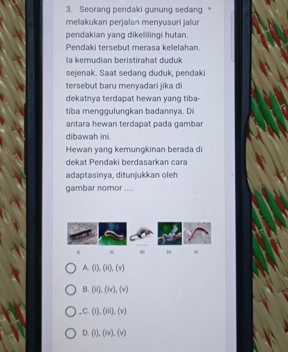 Seorang pendaki gunung sedang *
melakukan perjalan menyusuri jalur
pendakian yang dikelilingi hutan.
Pendaki tersebut merasa kelelahan.
Ia kemudian beristirahat duduk
sejenak. Saat sedang duduk, pendaki
tersebut baru menyadari jika di
dekatnya terdapat hewan yang tiba-
tiba menggulungkan badannya. Di
antara hewan terdapat pada gambar
dibawah ini.
Hewan yang kemungkinan berada di
dekat Pendaki berdasarkan cara
adaptasinya, ditunjukkan oleh
gambar nomor ....
ω iv] (v)
A. (i), (ii), (v)
B. (ii), (iv), (v).C. (i), (iii), (v)
D. (i), (iv), (v)