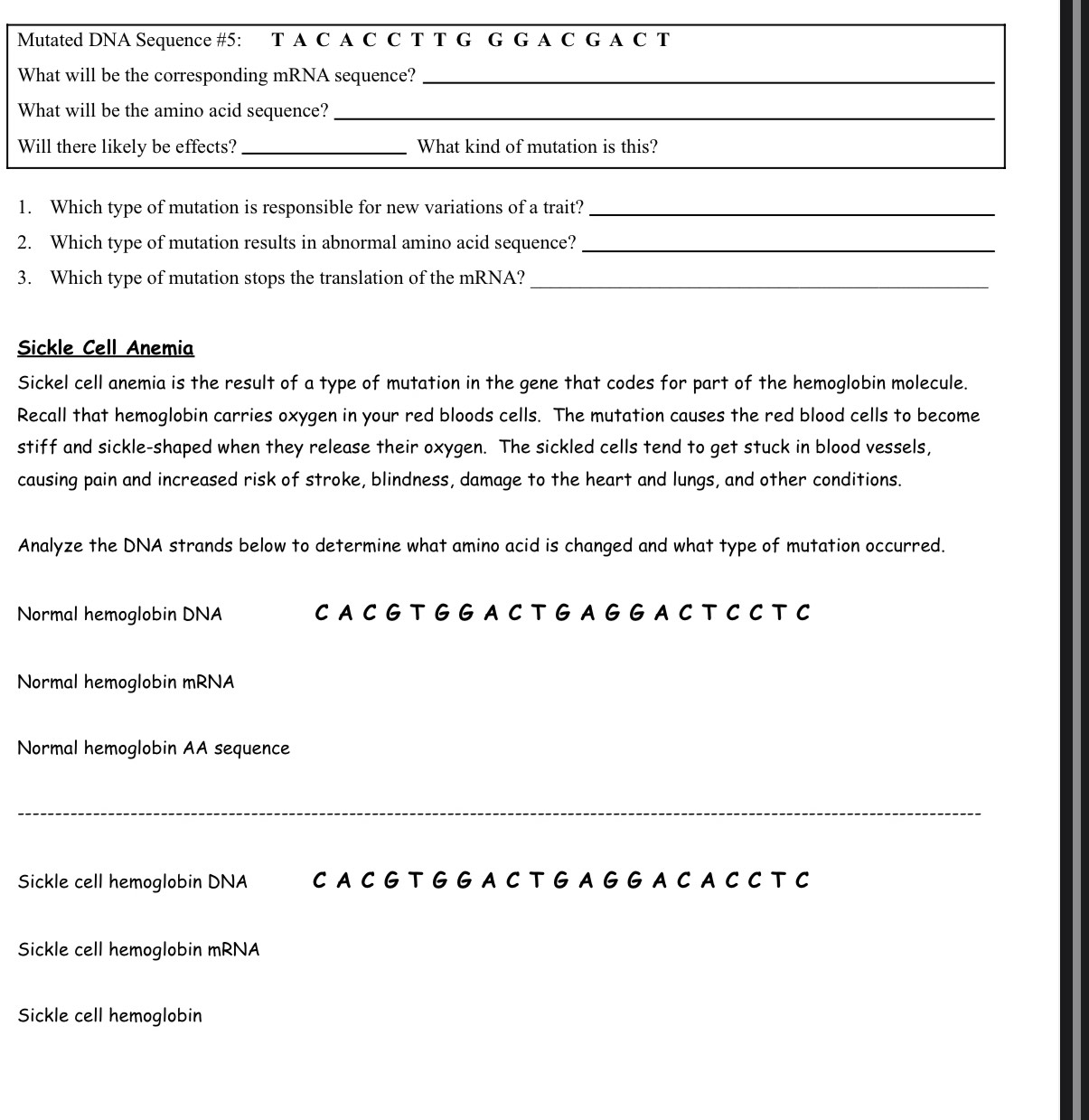 Mutated DNA Sequence #5: T A C A C C T T G G G A C G A C T 
What will be the corresponding mRNA sequence?_ 
What will be the amino acid sequence?_ 
Will there likely be effects? _What kind of mutation is this? 
1. Which type of mutation is responsible for new variations of a trait?_ 
2. Which type of mutation results in abnormal amino acid sequence?_ 
3. Which type of mutation stops the translation of the mRNA?_ 
Sickle Cell Anemia 
Sickel cell anemia is the result of a type of mutation in the gene that codes for part of the hemoglobin molecule. 
Recall that hemoglobin carries oxygen in your red bloods cells. The mutation causes the red blood cells to become 
stiff and sickle-shaped when they release their oxygen. The sickled cells tend to get stuck in blood vessels, 
causing pain and increased risk of stroke, blindness, damage to the heart and lungs, and other conditions. 
Analyze the DNA strands below to determine what amino acid is changed and what type of mutation occurred. 
Normal hemoglobin DNA C A C G T G G A C T G A G G A C T C C T C 
Normal hemoglobin mRNA 
Normal hemoglobin AA sequence 
_ 
Sickle cell hemoglobin DNA C A C G T G G A C T G A G G A C A C C T C 
Sickle cell hemoglobin mRNA 
Sickle cell hemoglobin