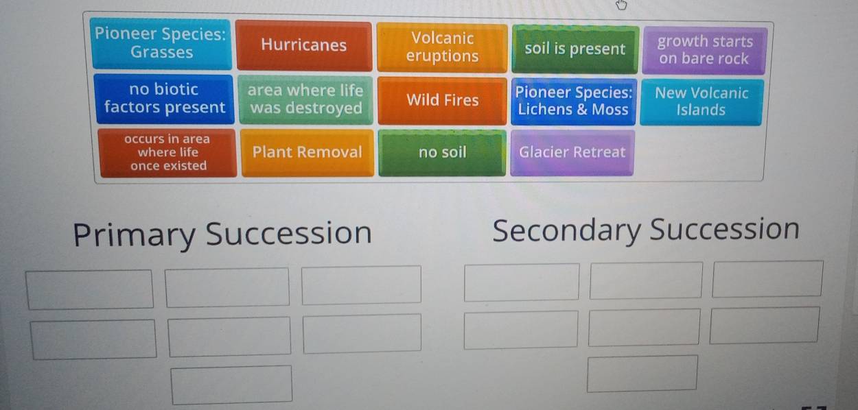 Primary Succession Secondary Succession