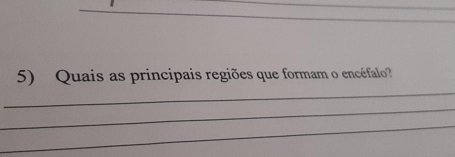 Quais as principais regiões que formam o encéfalo 
_ 
_ 
_