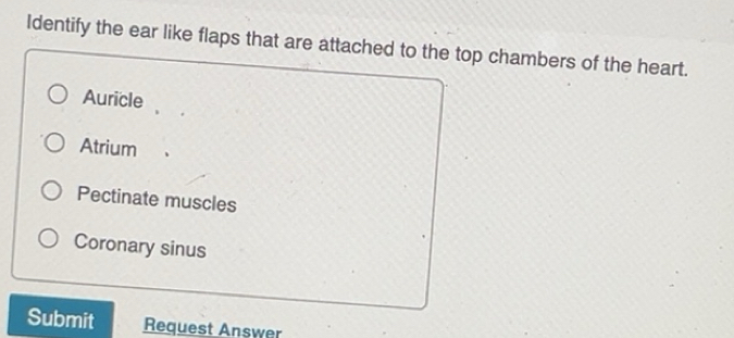Solved: Identify the ear like flaps that are attached to the top ...