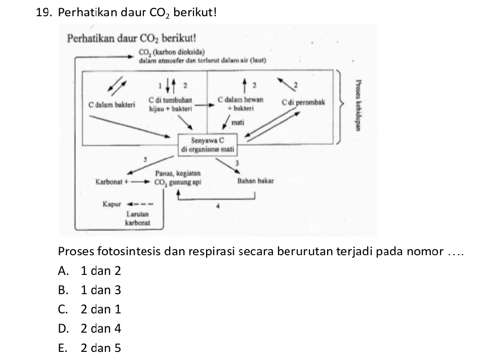 Perhatikan daur CO_2 berikut!
Perhatikan daur CO_2 berikut!
Proses fotosintesis dan respirasi secara berurutan terjadi pada nomor ....
A. 1 dan 2
B. 1 dan 3
C. 2 dan 1
D. 2 dan 4
E. 2 dan 5