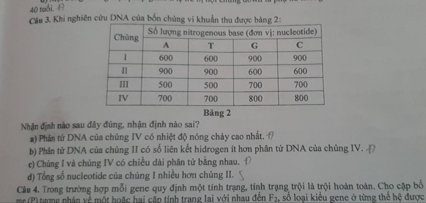 tuổi. 
Câu 3. Khi nghiên cứu DNA của bốn chủng vi khuần t
Bảng 2
Nhận định nào sau đây đúng, nhận định nào sai?
a) Phân tử DNA của chủng IV có nhiệt độ nóng chảy cao nhất.
b) Phân tử DNA của chủng II có số liên kết hidrogen ít hơn phân tử DNA của chủng IV.
c) Chủng I và chủng IV có chiều dài phân tử bằng nhau.
d) Tổng số nucleotide của chủng I nhiều hơn chủng II.
Câu 4. Trong trường hợp mỗi gene quy định một tính trạng, tính trạng trội là trội hoàn toàn. Cho cặp bố
me (P) tượng phản về một hoặc hai căp tính trang lai với nhau đên F_2 , số loại kiểu gene ở từng thế hệ được