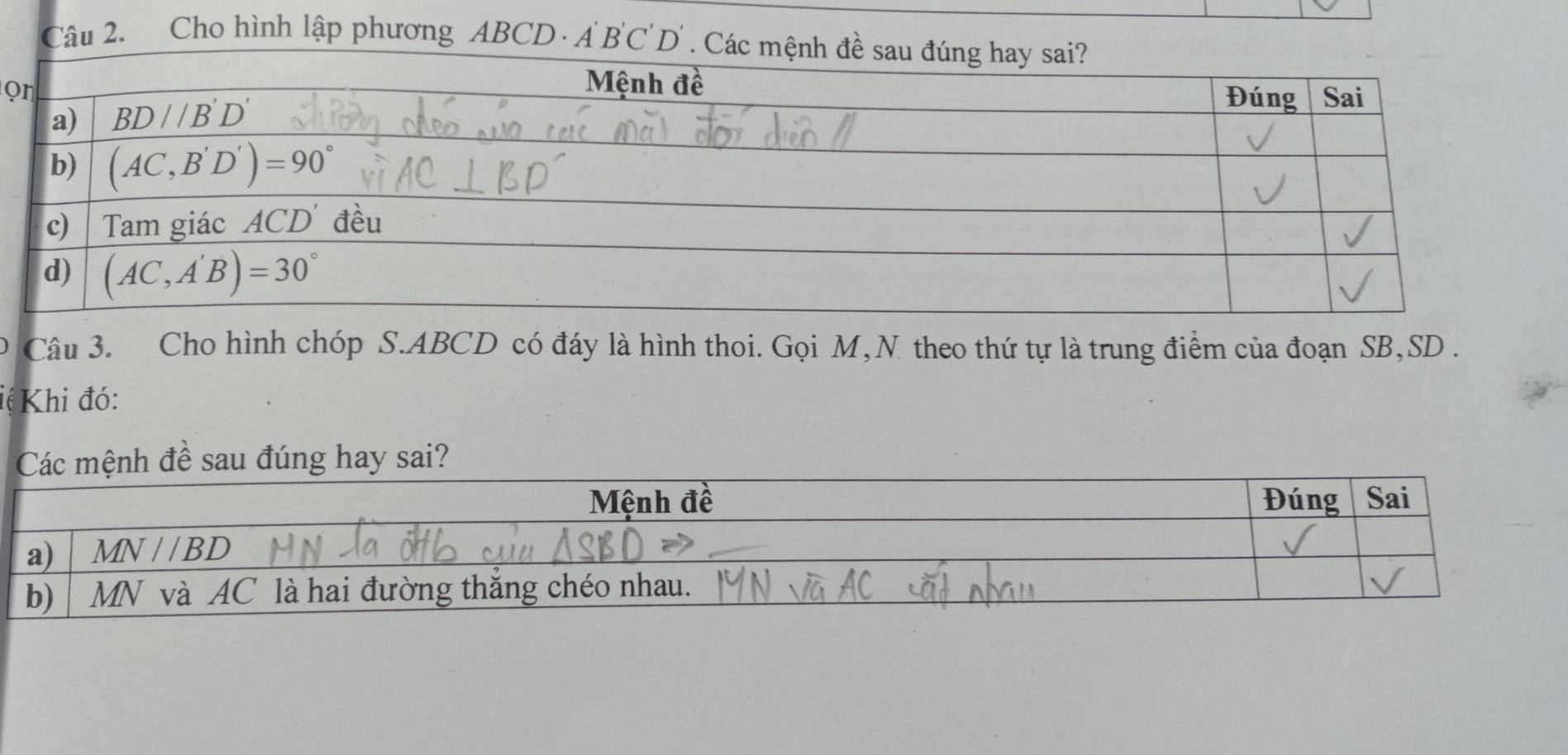 Cho hình lập phương ABCD  A B'C'D'
ọ
Câu 3. Cho hình chóp S.ABCD có đáy là hình thoi. Gọi M,N theo thứ tự là trung điểm của đoạn SB,SD .
iệ Khi đó:
úng hay sai?