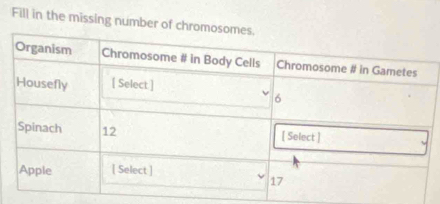 Fill in the missing number of chro