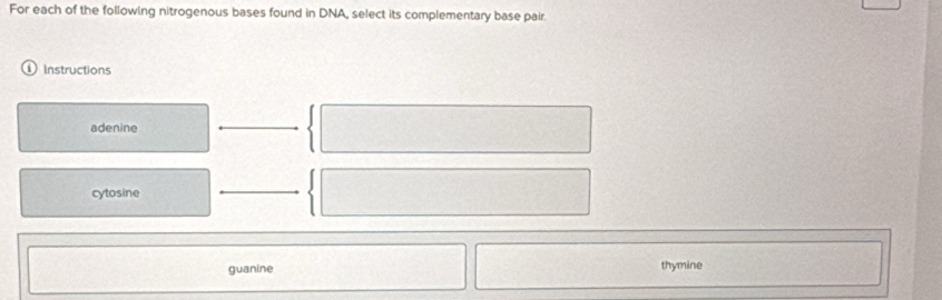 For each of the following nitrogenous bases found in DNA, select its complementary base pair.
Instructions
adenine
cytosine
guanine thymine