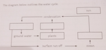 The diagram below outlines the water cycle.
sun
condensation
ground water plants
surface run-off ocean