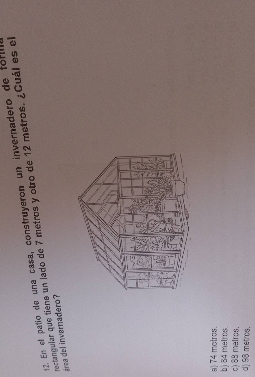 En el patio de una casa, construyeron un invernadero de for
rectangular que tiene un lado de 7 metros y otro de 12 metros. ¿Cuál es el
área del invernadero?
a) 74 metros.
b) 84 metros.
c) 88 metros.
d) 98 metros.