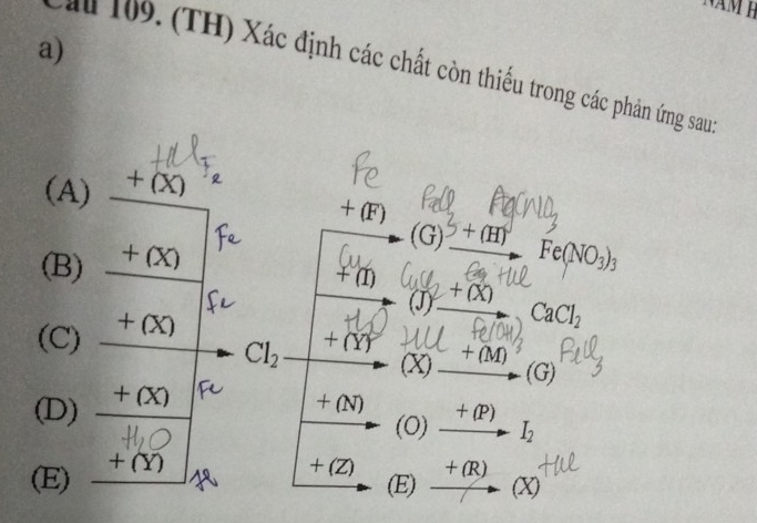 (TH) Xác định các chất còn thiếu trong các phản ứng sau 
(A) _ +(x)
+(F)
(G) +(H)_  Fe(NO3)3
(B) _ +(x)
+(I) y+ (X) CaCl₂
(J
(C) _ +(x) Cl_2 +() beginarrayr +(M) to (G)endarray
(X) 
(D) +(x)
+(N) xrightarrow +(P)I_2
(0) 
(E) _ +(Yrangle 
+(Z) +(R)
(E) x> A