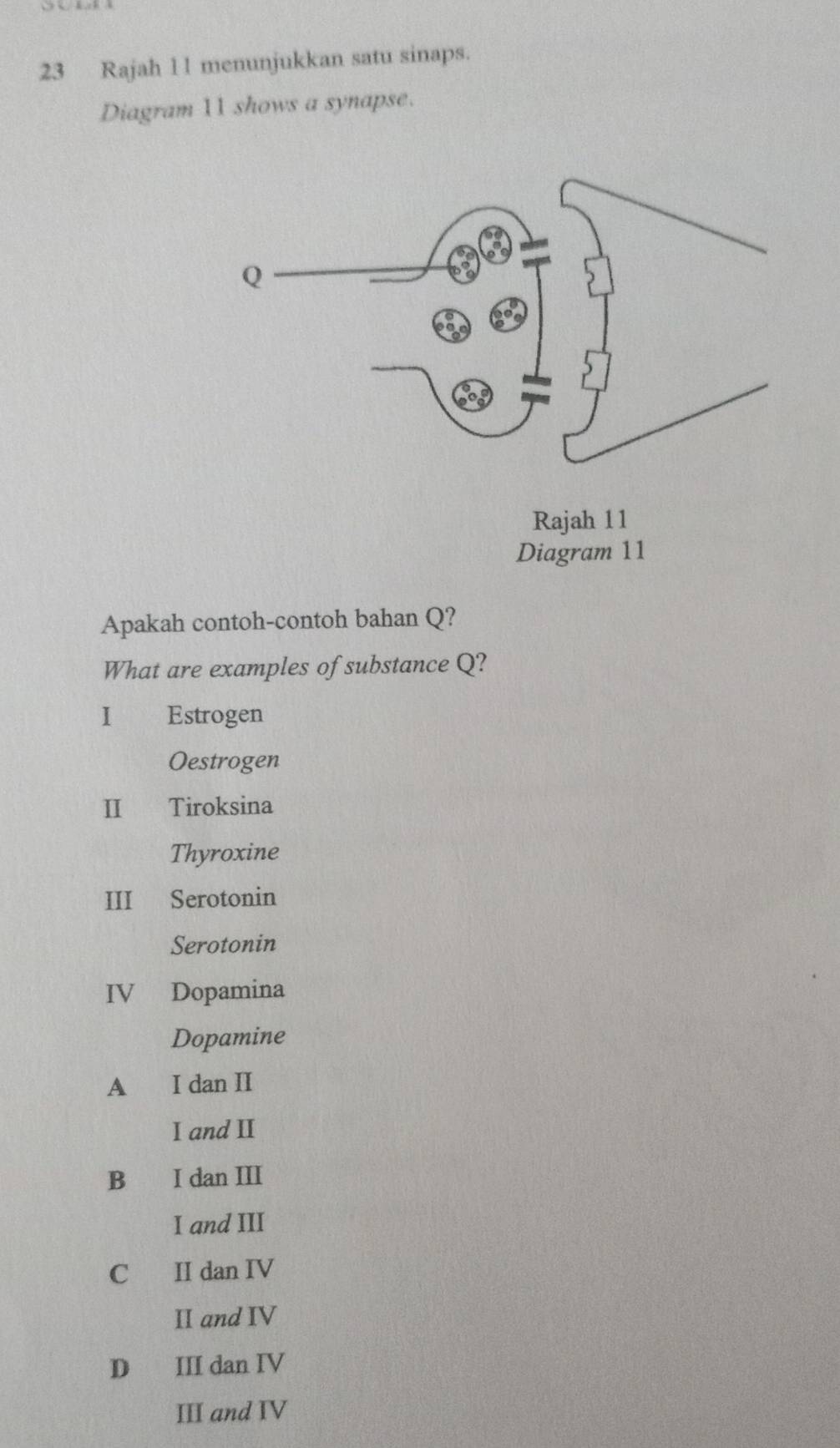 Selesai:Rajah 11 menunjukkan satu sinaps. Diagram 11 shows a synapse ...