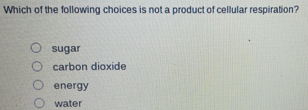 Which of the following choices is not a product of cellular respiration?
sugar
carbon dioxide
energy
water