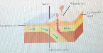 Oceanic crus