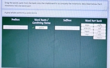 mnemonic has one word part. Drag the words parts from the bank onto the chalkboard to accompany the mnemonic described below. Each 
A gray whale performs a polie dance