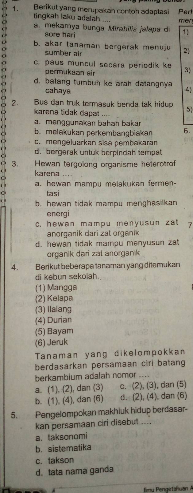 Berikut yang merupakan contoh adaptasi Perl
tingkah laku adalah ....
men
a. mekarnya bunga Mirabilis jalapa di 1)
sore hari
b. akar tanaman bergerak menuju 2)
sumber air
c. paus muncul secara periodik ke 3)
permukaan air
D
d. batang tumbuh ke arah datangnya
cahaya 4)
2. Bus dạn truk termasuk benda tak hidup 5)
karena tidak dapat ....
a. menggunakan bahan bakar
b. melakukan perkembangbiakan 6.
c. mengeluarkan sisa pembakaran
d. bergerak untuk berpindah tempat
3. Hewan tergolong organisme heterotrof
karena ....
a. hewan mampu melakukan fermen-
tasi
b. hewan tidak mampu menghasilkan
energi
c. hewan mampu menyusun zat 7
anorganik dari zat organik
d. hewan tidak mampu menyusun zat
organik dari zat anorganik
4. 2 Berikut beberapa tanaman yang ditemukan
di kebun sekolah.
(1) Mangga
(2) Kelapa
(3) Ilalang
(4) Durian
(5) Bayam
(6) Jeruk
Tanaman yang dikelompokkan
berdasarkan persamaan ciri batang
berkambium adalah nomor_
a. (1), (2), dan (3) c. (2), (3), dan (5)
b. (1), (4), dan (6) d. (2), (4), dan (6)
5. Pengelompokan makhluk hidup berdasar-
kan persamaan ciri disebut ...
a. taksonomi
b. sistematika
c. takson
d. tata nama ganda
[Imu Pengetahuan A