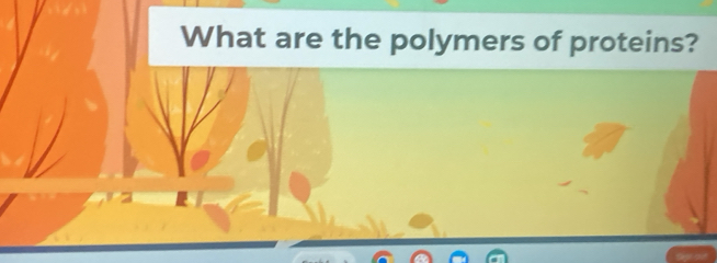 What are the polymers of proteins?