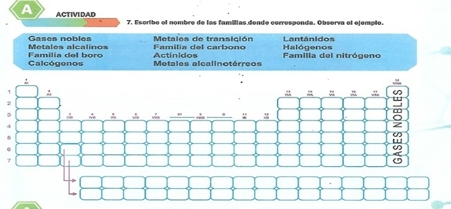 A ACTIVIDAD 
7. Escribe el nombre de las familias donde corresponda. Observa el ejemplo. 
Gases nobles Metales de transición Lantánidos 
Metales alcalinos Familia del carbono Halógenos 
Familia del boro Actínidos Familia del nitrógeno 
Calcógenos Metales alcalinotérreos