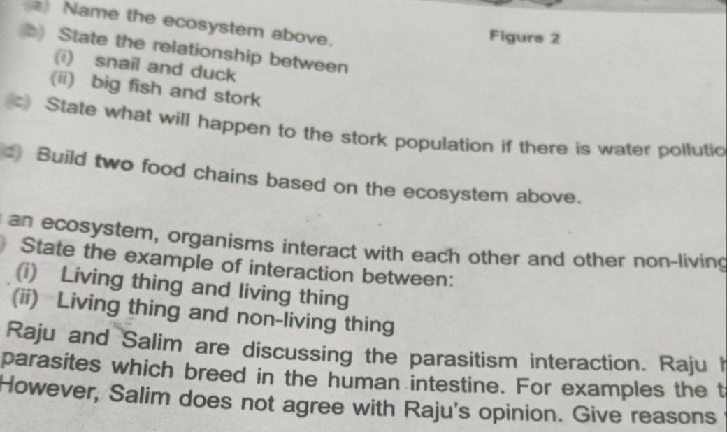 Name the ecosystem above. 
Figure 2 
State the relationship between 
(i) snail and duck 
(ii) big fish and stork 
c State what will happen to the stork population if there is water pollutio 
Build two food chains based on the ecosystem above. 
an ecosystem, organisms interact with each other and other non-living 
State the example of interaction between: 
(i) Living thing and living thing 
(ii) Living thing and non-living thing 
Raju and Salim are discussing the parasitism interaction. Raju h 
parasites which breed in the human intestine. For examples the t 
However, Salim does not agree with Raju's opinion. Give reasons