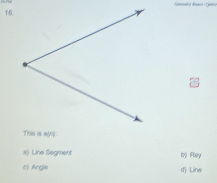 a) Line Segment b) Ray
s) Angle d) Line