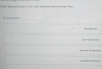 Order these structures in the order that tears travel through them.
Instructions
lacrimal sac
lacrimal puncta
lacrimall canaliculus
nasolacrimal duct