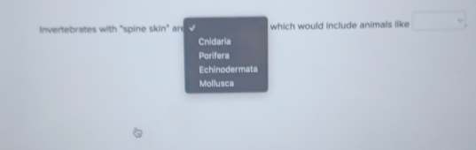 Invertebrates with "spine 5 xin° ar which would include animals like □ .
Cnidaria
Porifera
Echinodermata
Mollusca