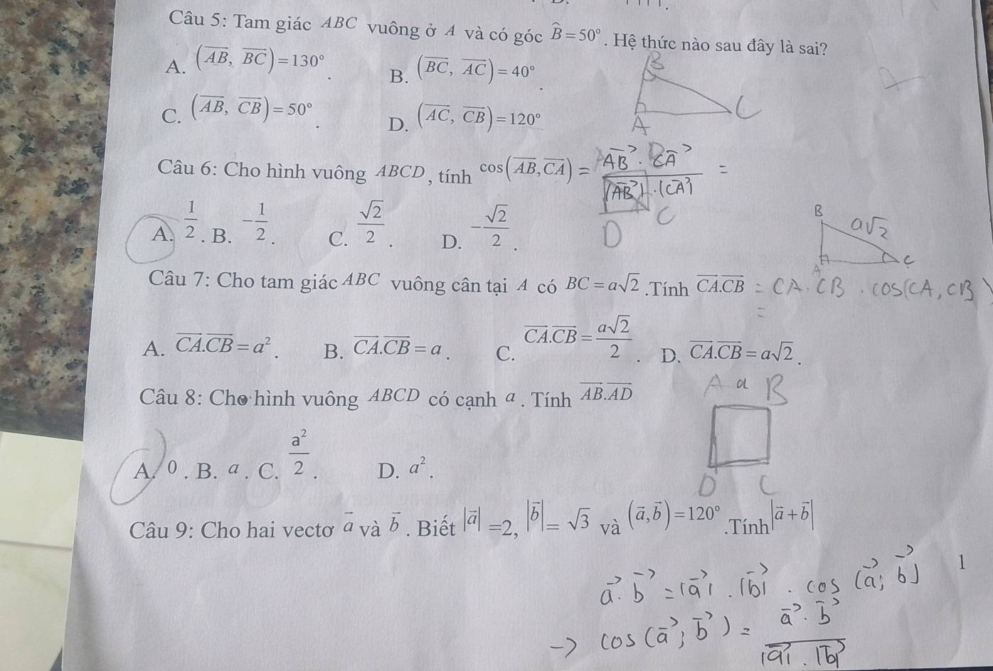 Tam giác ABC vuông ở 4 và có góc
A. (overline AB, overline BC)=130° widehat B=50°. Hệ thức nào sau đây là sai?
B. (overline BC,vector AC)=40°
C. (overline AB,overline CB)=50° (overline AC,overline CB)=120°
D.
Câu 6: Cho hình vuông ABCD , tính cos (overline AB, overline CA)=
A.  1/2  - 1/2 .  sqrt(2)/2 . - sqrt(2)/2 . 
B.
C.
D.
Câu 7: Cho tam giác 4BC vuông cân tại 4 có BC=asqrt(2).Tính vector CA.vector CB
A. vector CA.vector CB=a^2. B. vector CA.vector CB=a. C. overline CA.overline CB= asqrt(2)/2 . D. vector CA.vector CB=asqrt(2). 
Câu 8: Cho hình vuông ABCD có cạnh ª . Tính vector AB.vector AD
A. 0 . B. a. C.  a^2/2  D. a^2. 
Câu 9: Cho hai vectơ vector avvector b. Biết |vector a|=2, |vector b|=sqrt(3)_va(vector a,vector b)=120°. Tinh^(|vector a)+vector b|