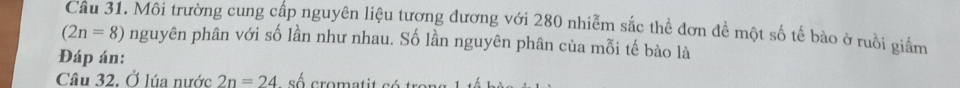 Môi trường cung cấp nguyên liệu tương đương với 280 nhiễm sắc thể đơn đề một số tế bào ở ruồi giám
(2n=8) nguyên phân với số lần như nhau. Số lần nguyên phân của mỗi tế bào là 
Đáp án: 
Câu 32. Ở lúa nước 2n=24 sé cromatit sé