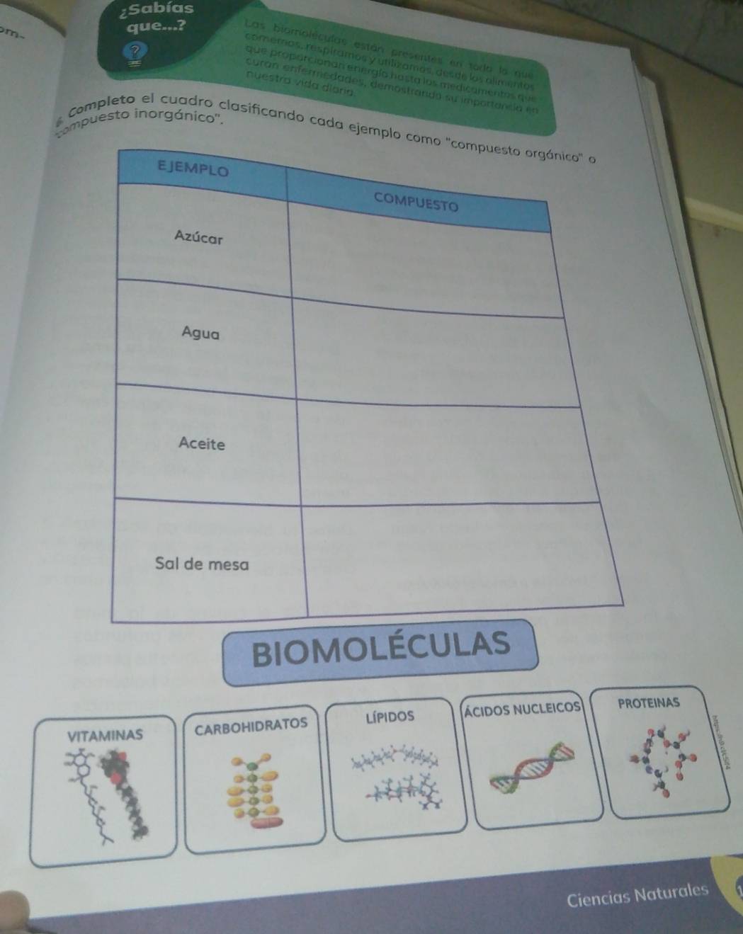 ¿Sabías 
m- 
que...? Las biomoléculas están presentes en todo la que 
comemos, respíramos y utilizamás, desde los alimentos 
que proparcionan energío hasta los medicamentos que 
nuestra vida diaria 
curan enfermedades, demostrandó su importancia en 
compuesto inorgánico''. Completo el cuadro clasificando cada ej 
bioMOLÉCUlA 
VITAMINAS CARBOHIDRATOS lípidos ácidos NUCLEicos PROTEINAS 
Ciencias Naturales