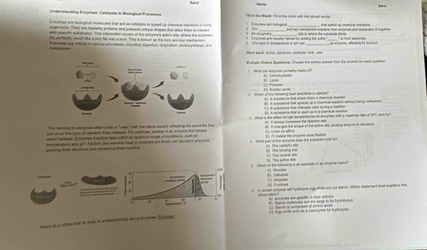 Band hame Band
Understanding Enxymes: Catalysta in Biological Processes Fill in the Bank Fill in the brank with the cunsect words.
Emrymes ans biological molecules that act as catalysts to speed up chemical reactions in tiving 1  Enzymes are biologicar _that speed up chersical reactions.
organisms. They are typically protains and possess unique shapes that allow them to interact 2. The 3 An entryme's and kay mechanism explains how snzymes and substutes fir together
with specific substrates. This intersction occurs at the enzyme's active site, where the substrate
Sits perfectly, muck like a key fits into a lock. This is known as the lock and key mechanism. 4. Erytymes are usually named by adding the suffux   ite is where the subslrats binde * to their substriate
m  r Ersyeres are ontical in various processes, including digestion, respiration, pholosynthesis, and 5. Changes in temperature or pH can _an enryme, afecting its funstion
Word bank: active, denature, catalysts, look, -ase
Multiple Chelice Questions: Choose the correct answer from the choices for each question
! What are encrymes priymarly made of? A) Cartchydones
CJ Protena B) Lipida
D) Nudeis acide
2 Which of the following best describes a catalyst?
A) A substance that slows down a cherical reaction
B) A substance that speeds up a chemical reaction without being consumed
C) A substance that changes color during a reaction
D) A substance that is used up in a chemical reection
3. What is the eflect of nigh temperatures on eruymes with a reactority rate of 35°C acturity?
The nemng of eruryees often ands in "aee," with the name usuelly reflecting the substrate fvy  Aj iRt aways increases the reaction rae
act o or the type of reection they reralyos. For exemple, lactase is an enuryme that breaka B) It changes the shape of the active site causing enuryme to denature
drawn lastome Enorymes funstion best withn an oplesum range of conditcns, such as G) B has no effect
tamparature and pC Favzars lue euoneme beat or ingoment pit levels can denatuore enuymes Dj IT makes the engryme more fxcible
posing tae struts ant recsiering tn antve 4. What part of the eruyme does the substrate bild to?
A) The catarytic site B The sinding sne
D) The active site G) The neutral site
5 Whick of the following is an exaple of an sruyme name?
B)Cellulose A) Glucose
C) Amylaso
D) Frudese
6 A sertam ensyme will hydrotyre sgg white but not starch. Which statement best explaine this
obterartion? A) enurymes are specific in their actions
() Starsh molecules are too large to be hydrolyned
C) Starch is cumposed of amino acids
D) Egg white acts as a coeruzyme for hydrolysis
atine to a videe far in hag in armntng aoe brzyher Entted
