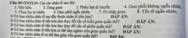 Câu 95 Cho các nhân tổ sau đây: 
1. Đột biển ?. Dòng gene 3. Phiêu bạt di truyền 4. Giao phối không ngẫu nhiên 
5. Chọn lọc tự nhiên. 6. Giao phối ngẫu nhiên. 7. Di nhập gene. 8. Yếu tổ ngẫu nhiên. 
1/ Có bao nhiêu nhân tổ sau đây thuộc nhân tổ tiến hóa? ĐÁp Án: 
2/ Có bao nhiêu nhân tổ tiền hóa làm thay đổi tần số kiểu gene quần thể? đáp án: 
3V Có bao nhiều shân tổ tiền hóa làm thay đổi tần số alelle quần thể? đáp án: 
4/ Có bao nhiêu nhân tổ tiền hóa có thể làm nghỏo vốn gene quần thể? ĐÁP ÁN: 
5/ Có bao nhiêu shân tổ có thể làm giàu vốn gene quân thể? Đáp Án: