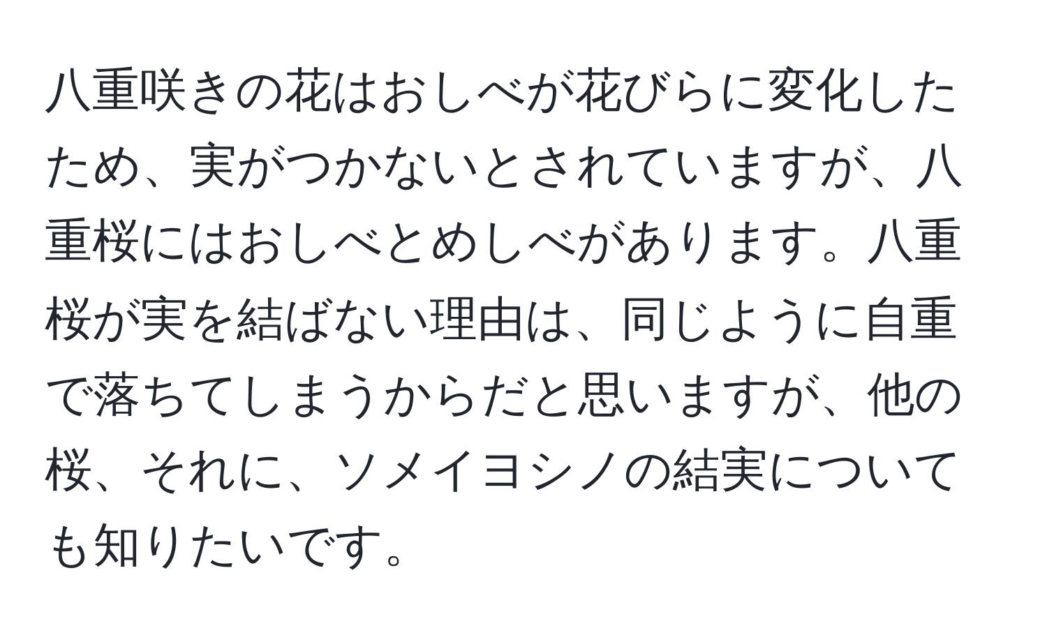 八重咲きの花はおしべが花びらに変化したため、実がつかないとされていますが、八重桜にはおしべとめしべがあります。八重桜が実を結ばない理由は、同じように自重で落ちてしまうからだと思いますが、他の桜、それに、ソメイヨシノの結実についても知りたいです。