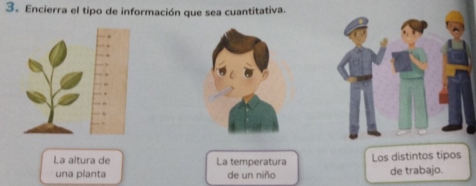 3。 Encierra el tipo de información que sea cuantitativa. 
La altura de La temperatura Los distintos tipos 
una planta de un niño de trabajo.