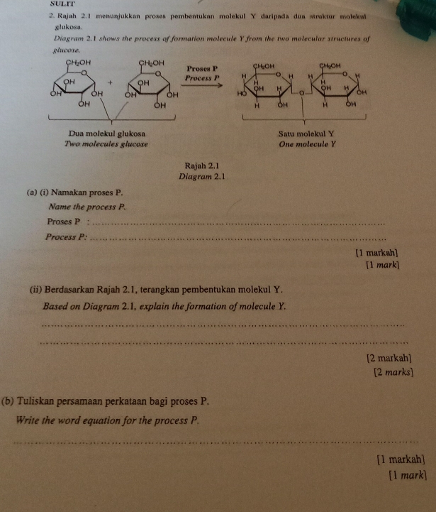 SULIT
2. Rajah 2.1 menunjukkan proses pembentukan molekul Y daripada dua struktur molekul
glukosa.
Diagram 2.1 shows the process of formation molecule Y from the two molecular structures of
glucose.
Rajah 2.1
Diagram 2.1
(a) (i) Namakan proses P.
Name the process P.
Proses P :_
Process P:_
[1 markah]
[1 mark]
(ii) Berdasarkan Rajah 2.1, terangkan pembentukan molekul Y.
Based on Diagram 2.1, explain the formation of molecule Y.
_
_
[2 markah]
[2 marks]
(b) Tuliskan persamaan perkataan bagi proses P.
Write the word equation for the process P.
_
[1 markah]
[1 mark]