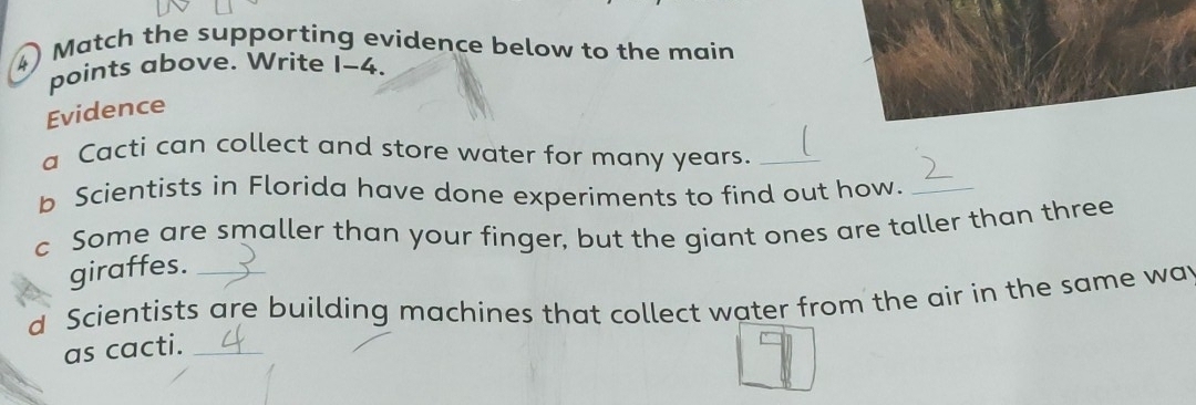 Match the supporting evidence below to the main 
points above. Write I-4. 
Evidence 
a Cacti can collect and store water for many years._ 
b Scientists in Florida have done experiments to find out how._ 
c Some are smaller than your finger, but the giant ones are taller than three 
giraffes. 
d Scientists are building machines that collect water from the air in the same way 
as cacti._