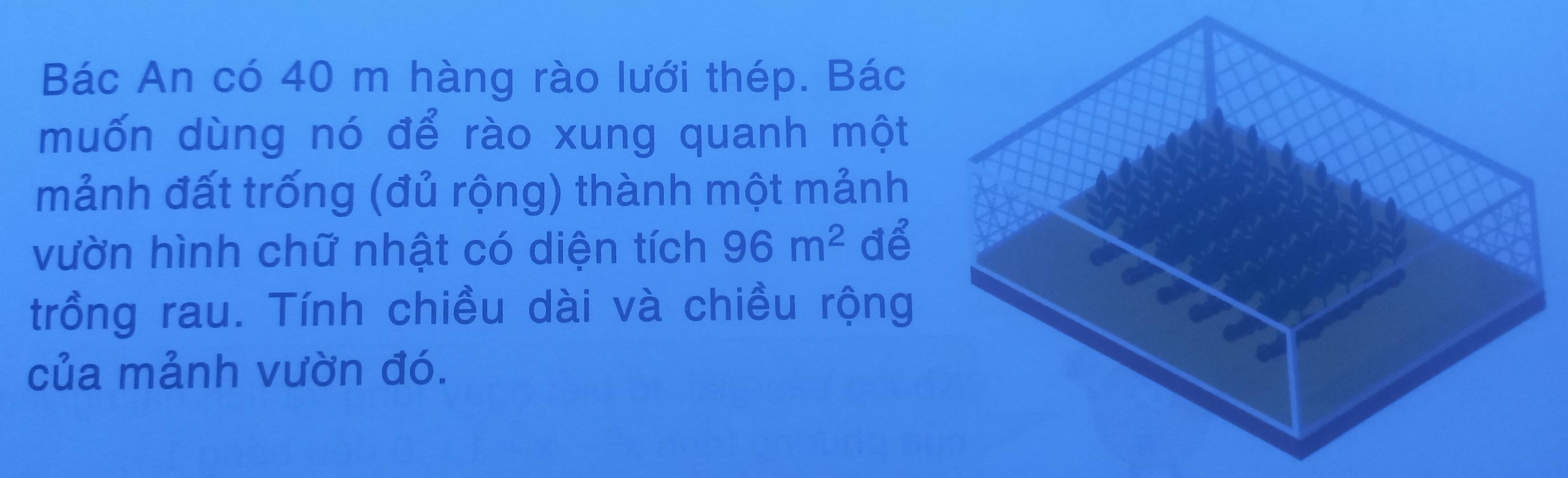 Bác An có 40 m hàng rào lưới thép. Bác 
muốn dùng nó để rào xung quanh một 
mảnh đất trống (đủ rộng) thành một mảnh 
vườn hình chữ nhật có diện tích 96m^2 để 
trồng rau. Tính chiều dài và chiều rộng 
của mảnh vườn đó.