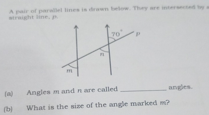 A pair of parallel lines is drawn below. They are intersected by 
straight line, p.
(a) Angles m and n are called _angles.
(b) What is the size of the angle marked m?