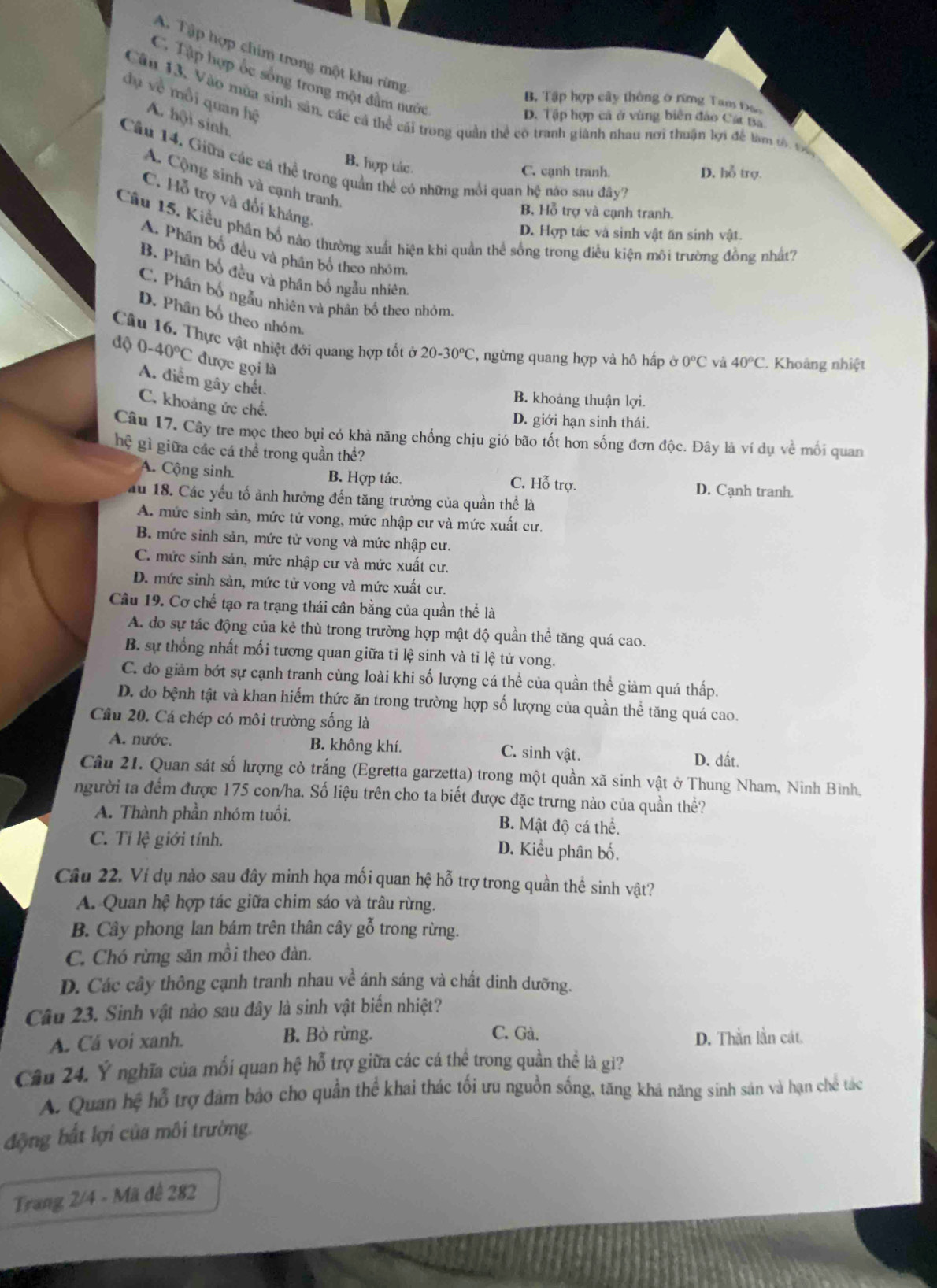 A. Tập hợp chim trong một khu rừng
C. Tập hợp ốc sống trong một đầm nước
dụ về môi quan hệ
B. Tập hợp cây thông ở rừng Tam Đao
Câu 13, Vào mùa sinh sân, các cá thể cái trong quần thể có tranh giành nhau nơi thuận lợi để làm tô Đ
A. hội sinh
D. Tập hợp cả ở vùng biên đảo Cát Ba
B. hợp tác.
Cầâu 14. Giữa các cá thể trong quần thể có những mồi quan hệ nào sau đây7
C. cạnh tranh. D. hỗ trợ.
A. Cộng sinh và cạnh tranh.
C. Hỗ trợ và đối kháng.
B, Hỗ trợ và cạnh tranh.
Câu 15. Kiểu phân bố nào thường xuất hiện khi quản thể sống trong điều kiện môi trường đồng nhật?
D. Hợp tác và sinh vật ăn sinh vật.
A. Phân bố đều và phân bổ theo nhóm
B. Phân bố đều và phân bố ngẫu nhiên
C. Phân bố ngẫu nhiên và phân bố theo nhỏm,
D. Phân bố theo nhóm
Câu 16. Thực vật nhiệt đới quang hợp tốt ở 20-30°C , ngừng quang hợp và hô hấp ở 0°C và 40°C.. Khoảng nhiệt
độ 0-40°C được gọi là
A. diểm gây chết.
B. khoảng thuận lợi.
C. khoảng ức chế.
D. giới hạn sinh thái.
Câu 17. Cây tre mọc theo bụi có khả năng chống chịu gió bão tốt hơn sống đơn độc. Đây là ví dụ về mối quan
hệ gì giữa các cá thể trong quần thể?
A. Cộng sinh. B. Hợp tác. C. Hỗ trợ. D. Cạnh tranh.
ău 18. Các yếu tố ảnh hưởng đến tăng trưởng của quần thể là
A. mức sinh sản, mức tử vong, mức nhập cư và mức xuất cư.
B. mức sinh sản, mức tử vong và mức nhập cư.
C. mức sinh sản, mức nhập cư và mức xuất cư.
D. mức sinh sản, mức tử vong và mức xuất cư.
Câu 19. Cơ chế tạo ra trạng thái cân bằng của quần thể là
A. do sự tác động của kẻ thù trong trường hợp mật độ quần thể tăng quá cao.
B. sự thống nhất mối tương quan giữa tỉ lệ sinh và tỉ lệ tử vong.
C. đo giảm bớt sự cạnh tranh cùng loài khi số lượng cá thể của quần thể giảm quá thấp.
D. do bệnh tật và khan hiếm thức ăn trong trường hợp số lượng của quần thể tăng quá cao.
Cầu 20. Cá chép có môi trường sống là
A. nước. B. không khí. C. sinh vật. D. dất.
Câu 21. Quan sát số lượng cò trắng (Egretta garzetta) trong một quần xã sinh vật ở Thung Nham, Ninh Bình,
người ta đểm được 175 con/ha. Số liệu trên cho ta biết được đặc trưng nào của quần thể?
A. Thành phần nhóm tuổi. B. Mật độ cá thể.
C. Tỉ lệ giới tính. D. Kiểu phân bố.
Câu 22. Ví dụ nào sau đây minh họa mối quan hệ hỗ trợ trong quần thể sinh vật?
A. Quan hệ hợp tác giữa chim sáo và trâu rừng.
B. Cây phong lan bám trên thân cây gỗ trong rừng.
C. Chó rừng săn mồi theo đàn.
D. Các cây thông cạnh tranh nhau về ánh sáng và chất dinh dưỡng.
Câu 23. Sinh vật nào sau đây là sinh vật biến nhiệt?
C. Gà.
A. Cá voi xanh. B. Bò rừng. D. Thằn lằn cát.
Câu 24. Ý nghĩa của mối quan hệ hỗ trợ giữa các cá thể trong quần thể là gì?
A. Quan hệ hỗ trợ đảm bảo cho quần thể khai thác tối ưu nguồn sống, tăng khả năng sinh sản và hạn chê tác
động bắt lợi của môi trường.
Trang 2/4 - Mã đề 282