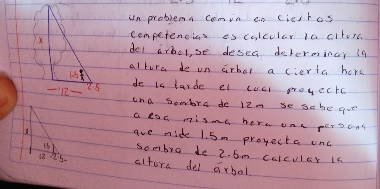 un problems comin en (iert as
competencias es colcular la alfora
del arbol,se desea determinar 19
altura de on arbol a cierta hora
de la tarde el cval prouecta
ona Sombra de l2m se sabe aue
a esa mismu hore una persong
X
ave mide 1. 5m proyecta onc
13
sombre de 2. 6m calcular 1a
12-25-
altora del arbol.