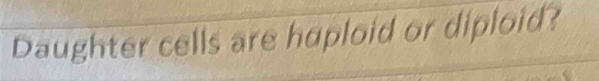 Daughter cells are huploid or diploid?