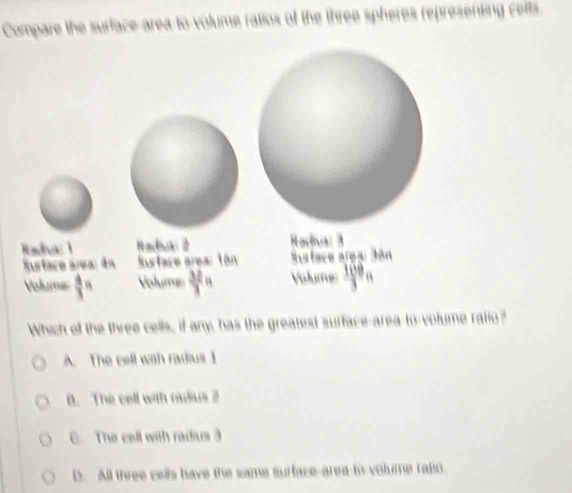 Compare the surface area to volume ratios of the three spheres representing ceits.
Radas 1 Roclua: 2 Rodtua: 3
Srface área: dn Surface area: 1ên Sface area: Jôn
Hislumes  4/3 = Volums  32/3  Volums  100/3 n
Which of the three cells, if any, has the greatest surface-area-to-volume rallo?
A. The cell with radius 1
B. The cell with radius i
C. The cell with radius 3
D. All three cells have the same surface-area-to volume ralio.