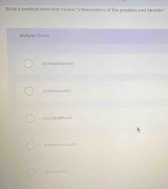 Build a medical term that means "inflammation of the prostate and bladder."
Multiple Choice
orchiepididymitis
prostatocystitis
prostatolithiasis
prostatovesiculitis
cyonephritis