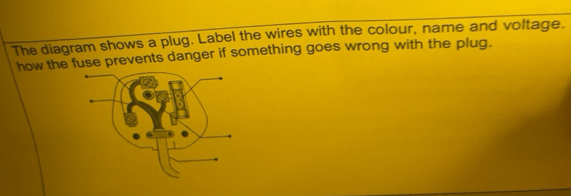 Solved: The diagram shows a plug. Label the wires with the colour, name ...