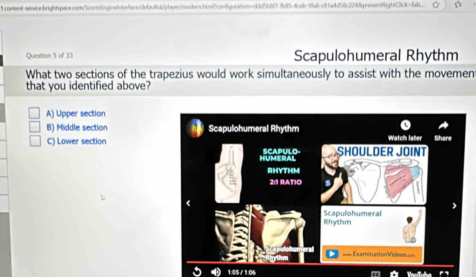 content-service.brightspace.com/ScormEngineInterface/defaultui/player/modern.html?configuration=ddd5b8f7-fb85-4ceb-9fa6-c81a4d58c2248preventRightClick=fals..
Question 5 of 33 Scapulohumeral Rhythm
What two sections of the trapezius would work simultaneously to assist with the movemen
that you identified above?
A) Upper section
B) Middle section
C) Lower section
1:05 / 1:06 YauTube