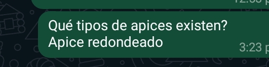 Qué tipos de apices existen?
Apice redondeado
3:23