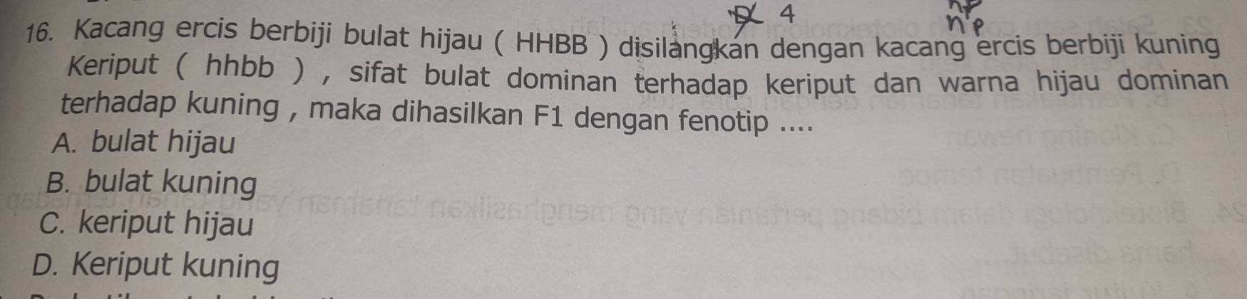 4
16. Kacang ercis berbiji bulat hijau ( HHBB ) disilangkan dengan kacang ercis berbiji kuning
Keriput ( hhbb ) , sifat bulat dominan terhadap keriput dan warna hijau dominan
terhadap kuning , maka dihasilkan F1 dengan fenotip ....
A. bulat hijau
B. bulat kuning
C. keriput hijau
D. Keriput kuning